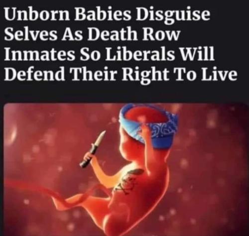 FB_IMG_1731079602375