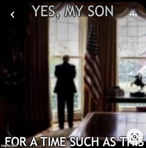 c8fe69403edec7fded0a77d62cb263ba