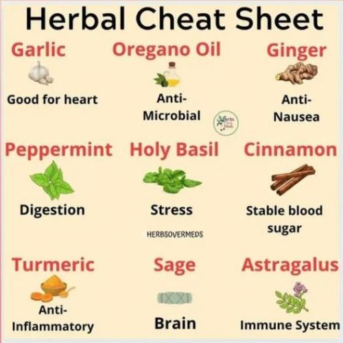 ,       , 418443446_38738170715