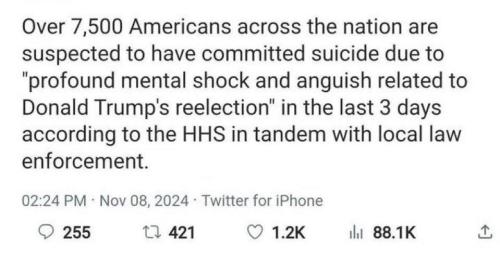 photo_2024-11-11_13-04-48