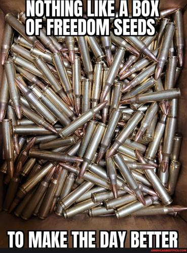 df8670c7836c0a514d29e76684c7888d997264052263239cf207a66e63b4aaec_1