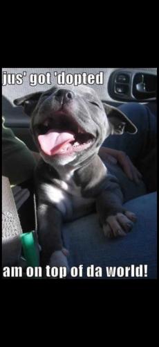 Screenshot_20241107_142139_Photos