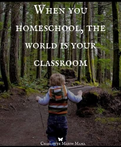 Screenshot_2024-11-25-07-22-54-06_a23b203fd3aafc6dcb84e438dda678b6