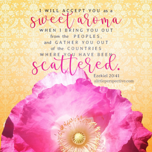 eze-20-41-JPS-pixabay