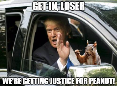 photo_2024-11-03_14-16-15