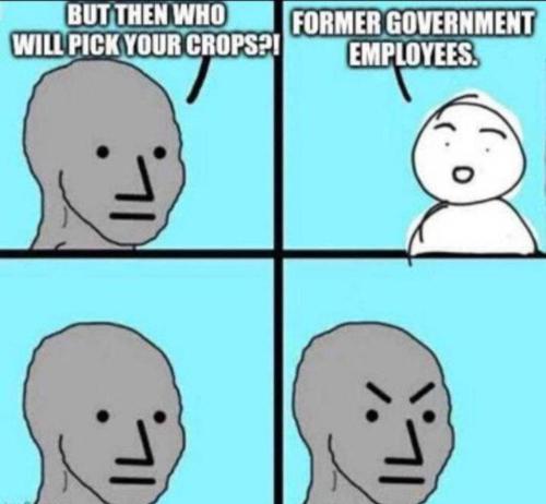 photo_2024-11-25_19-24-29