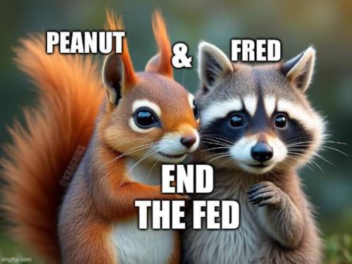 photo_2024-11-04_11-53-26