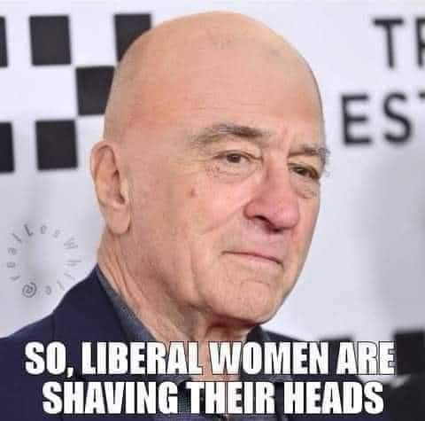 image_2024-11-14_064456019