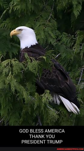 c010b6da67e9d54eff1d7cab5ffe721180b3934467a6e1b1bed7636445d0fb72_1