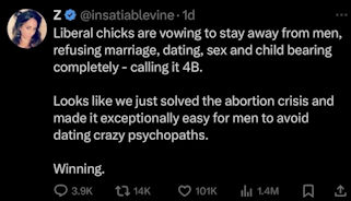 liberal chicks