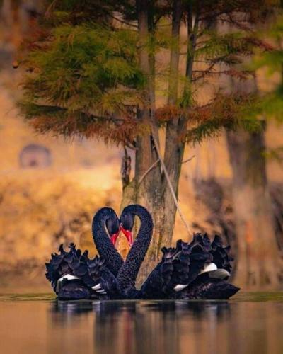 ,,, , 418182706_10161997005