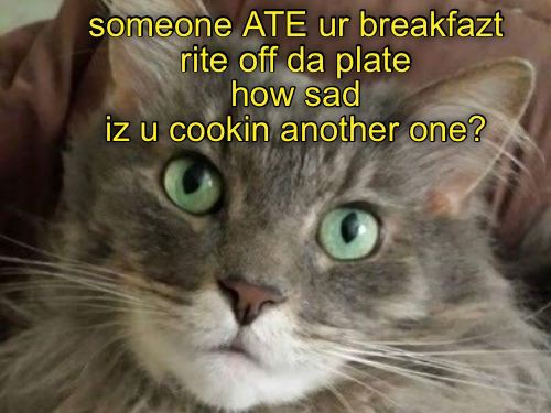 0224a9a07c59ddb83837dbc32ca2672d