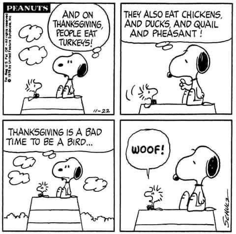 B380641D-5543-4D9F-B423-A01D205FC99D