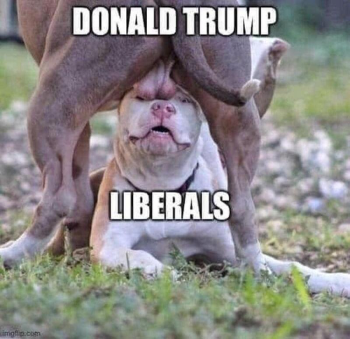 image_05007FB8-9BCA-4D7F-8D38-7D0B3ADC83D4