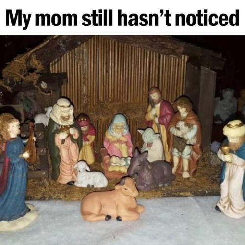 image_851A496A-5C76-45C7-93C3-EE70F5AC50AC