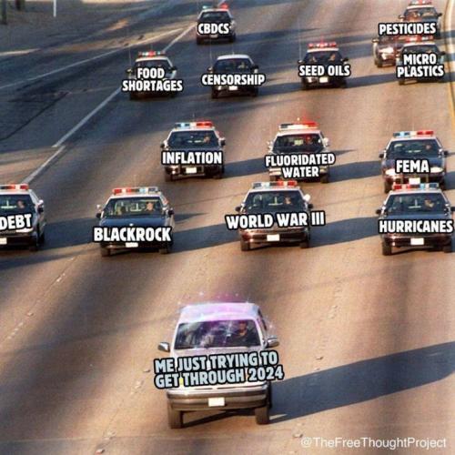 IMG_20241102_065815_517