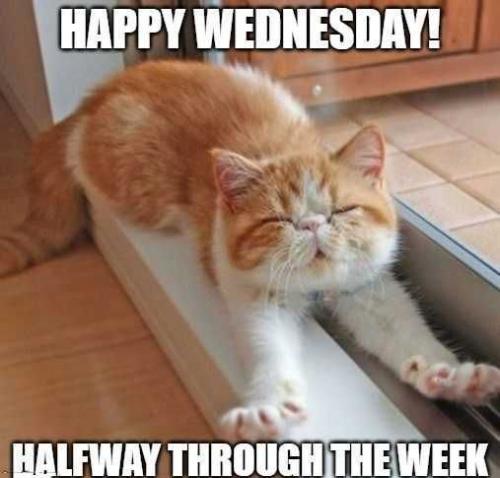 70dac6c72ceec9be17e51013f2731090