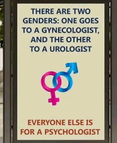 FB_IMG_1730438790746