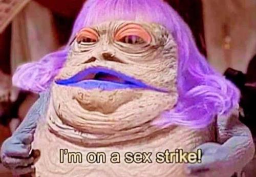 photo_2024-11-11_12-53-27