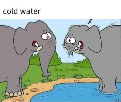 FB_IMG_1731458302398