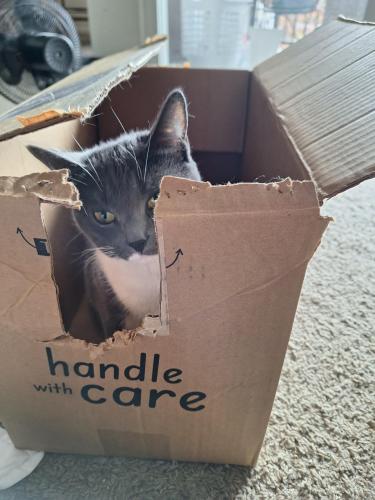 28cf0762-e7ef-4dfb-b9ff-3cc28a64994c