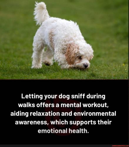 126ff0d8eba8b842eaa6296af357a7cd95d7bf7db1a99123a3f03a6e324ed9f7_1