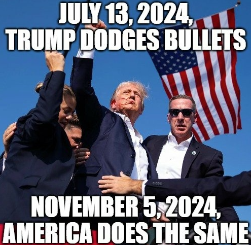 image_2024-11-17_104405637