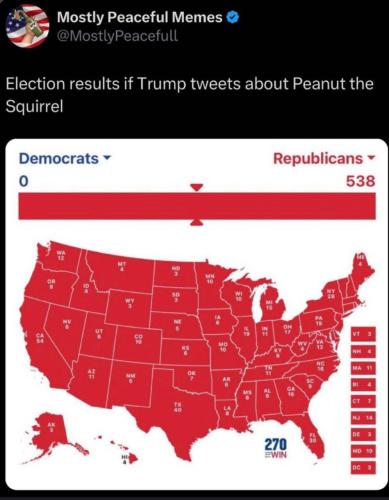 photo_2024-11-03_19-20-42