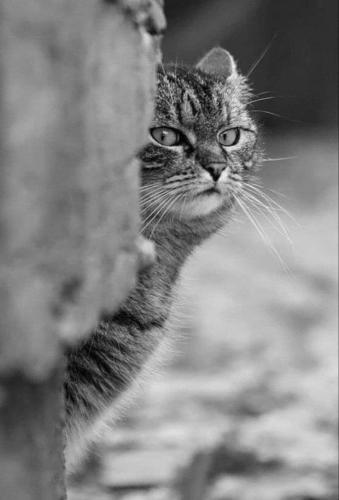 FB_IMG_1730575086696