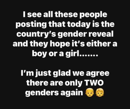 Messenger_creation_1C00D668-C529-45D5-960F-A68F9E39F8C2