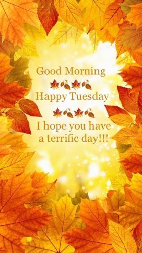 fall morning tuesday 1