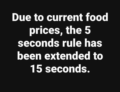 image_9512CEA6-5A6E-4F8C-80F2-65BDB8616556