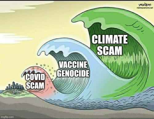 image_2024-11-11_172132406