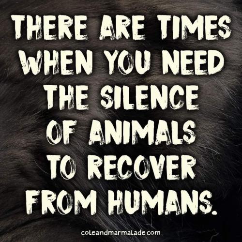 e18428817473e17674e8d12c79b2d631