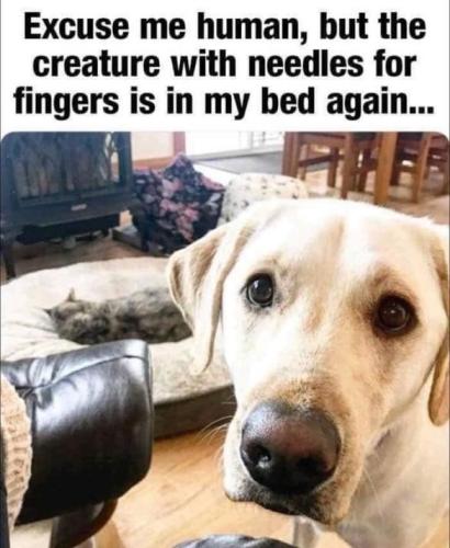 aefe4e34c0a1859c21f22d8bcd975c6b