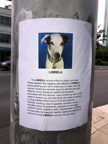 photo_2024-11-28_22-52-31