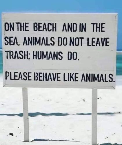 49D2CF28-A1E5-4A59-BE86-FBAE00D1B1A3