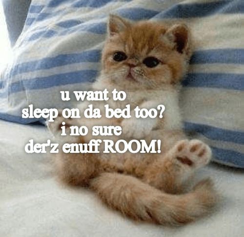 a349b535c6f17cbf3713458b4782456d