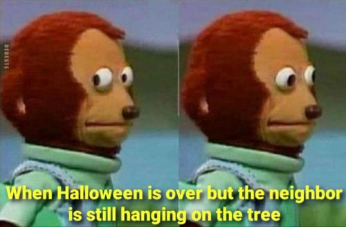 image_F4368D7E-98C7-4B75-AC48-D13B0997A7B8