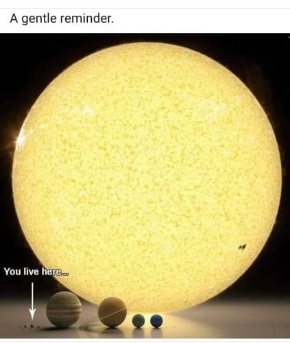 Screenshot_2024-11-26-13-52-47-52_a23b203fd3aafc6dcb84e438dda678b6