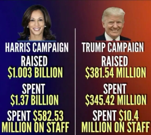 image_2024-11-16_100359563