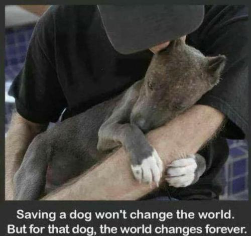 0dab0dd16a79e940ff006809daed134c