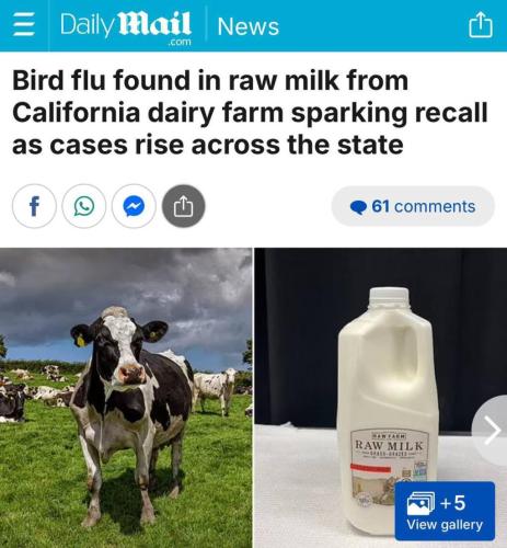 photo_2024-11-25_21-19-21