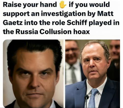 investigate schiff