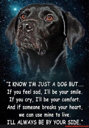 358b8f1cdeb94e70cf14f3c3d82de7c677dd71d276c42b65d73bbda7c7bfb802_1