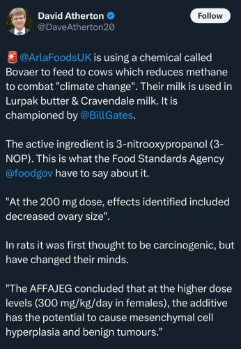 photo_2024-11-29_20-09-55