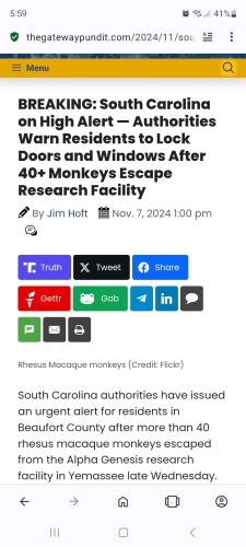 Screenshot_20241107_175943_Opera