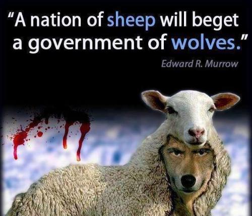 Sheep & Wolves
