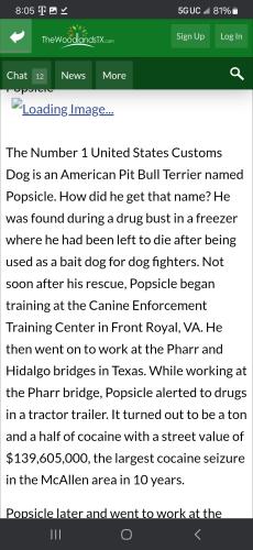 Screenshot_20241123_200537_Chrome