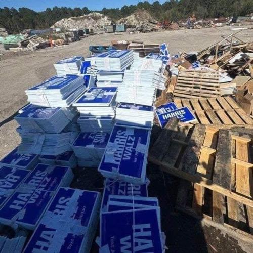 d2a8ced1-1c7e-4533-85ae-3b31162a3dee